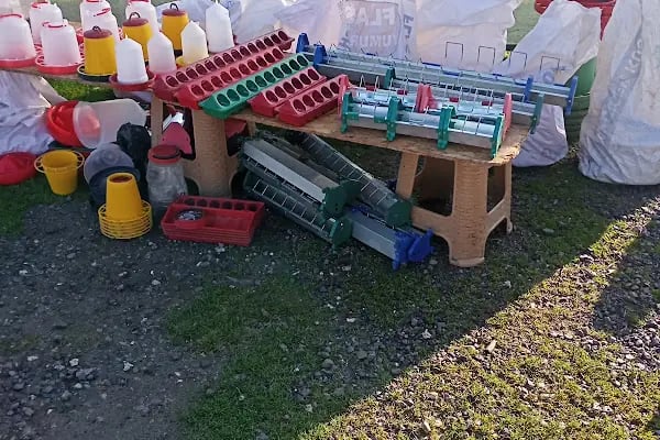 Sakarya Kanatlı Hayvan Pazarı - Resim 13