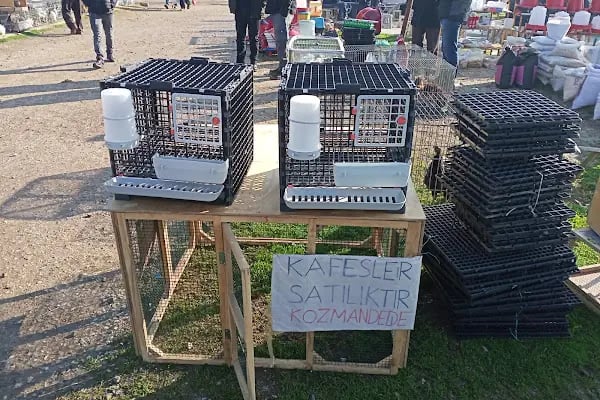 Sakarya Kanatlı Hayvan Pazarı - Resim 10