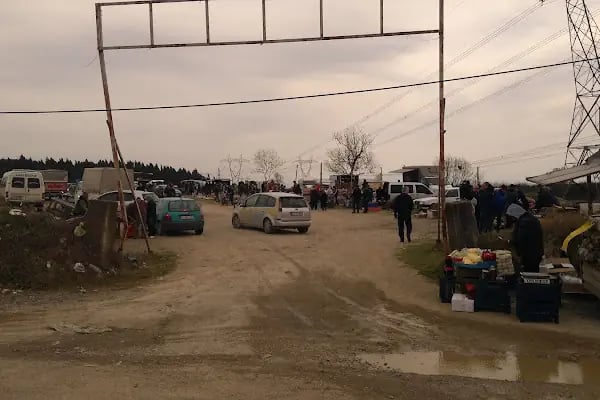 Sakarya Kanatlı Hayvan Pazarı - Resim 9