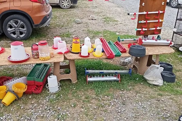 Sakarya Kanatlı Hayvan Pazarı - Resim 15