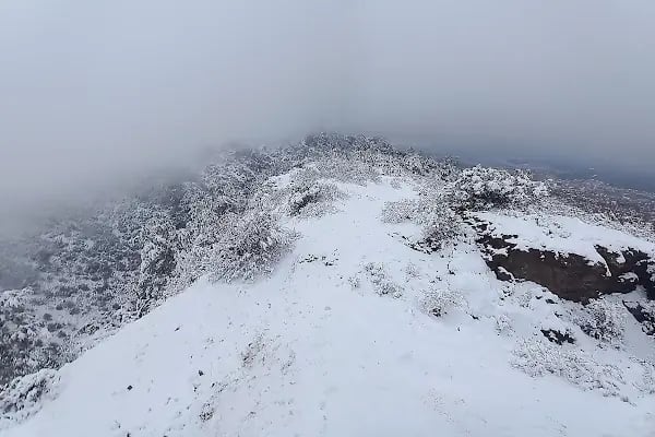 Süreyya Tabiat Parkı - Resim 12