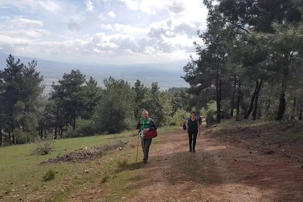 Süreyya Tabiat Parkı - Resim 20