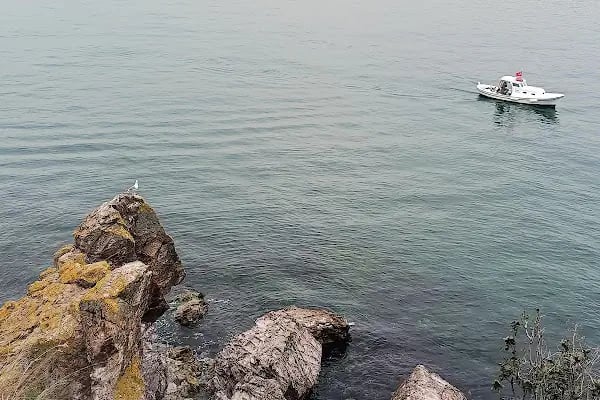 Burgazada İskelesi - Resim 10