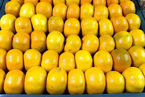 Bahadır Market - Resim 14