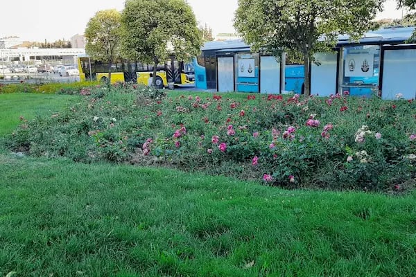 İstanbul Üniversitesi-Cerrahpaşa Avcılar Kampüsü - Resim 3