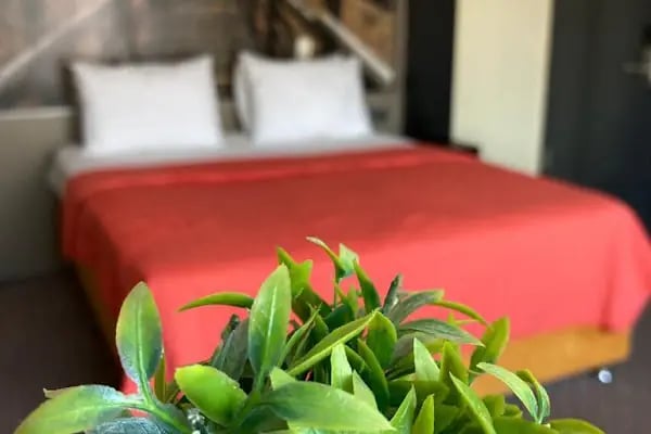 Lovcen House Hotel - Resim 5