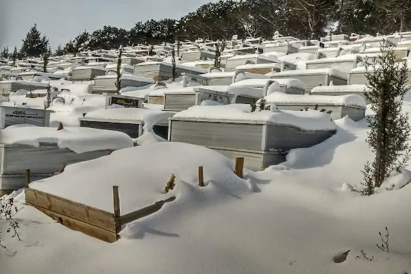 Boğazköy Memba Mezarlığı - Resim 15