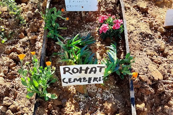 Boğazköy Memba Mezarlığı - Resim 14