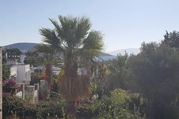 Sezonluk Tatil - Bodrum Yazlık Villa Ev Kiralama Hizmetleri - Resim 9