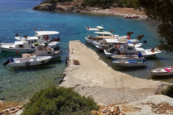 Sezonluk Tatil - Bodrum Yazlık Villa Ev Kiralama Hizmetleri - Resim 3