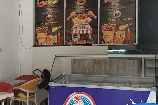 Acı Tatlı Fastfood (Çıtır Tavuk) - Resim 1