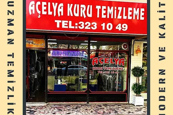 Açelya - Resim 1