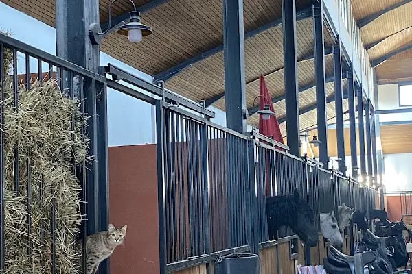 Şahinbey binicilik ve geleneksel sporlar merkezi - Resim 12