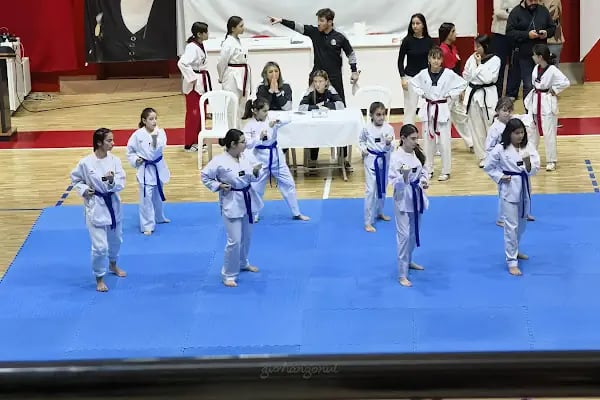 T.C. Bayraklı Belediyesi Mustafa Kemal Atatürk Spor Salonu - Resim 10