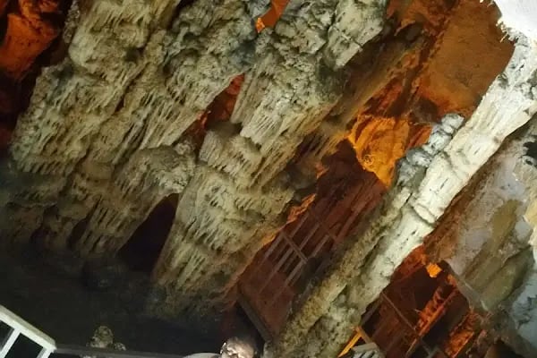 Belediye Semt Pazarı - Resim 11