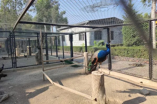 Tarsus Doğa Parkı ve Hayvanat Bahçesi - Resim 16