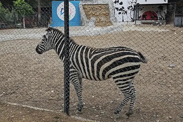 Tarsus Doğa Parkı ve Hayvanat Bahçesi - Resim 6