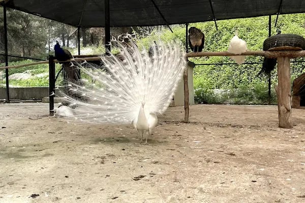 Tarsus Doğa Parkı ve Hayvanat Bahçesi - Resim 11