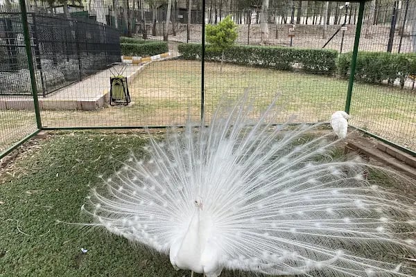 Tarsus Doğa Parkı ve Hayvanat Bahçesi - Resim 10
