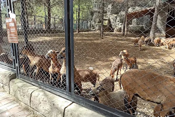 Tarsus Doğa Parkı ve Hayvanat Bahçesi - Resim 17