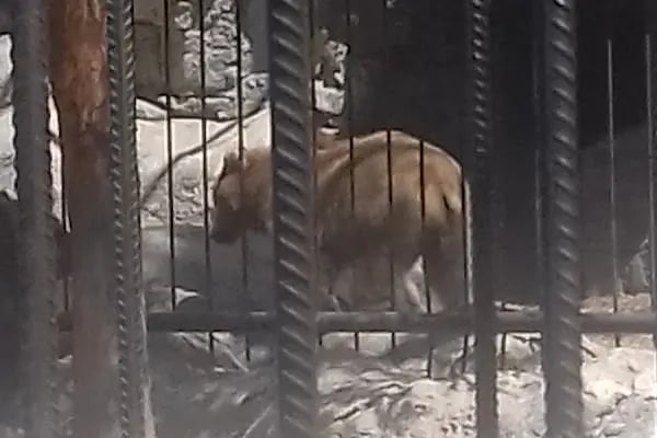 Tarsus Doğa Parkı ve Hayvanat Bahçesi - Resim 1