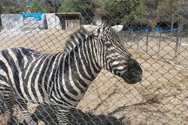 Tarsus Doğa Parkı ve Hayvanat Bahçesi - Resim 5