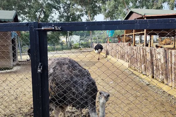 Tarsus Doğa Parkı ve Hayvanat Bahçesi - Resim 8