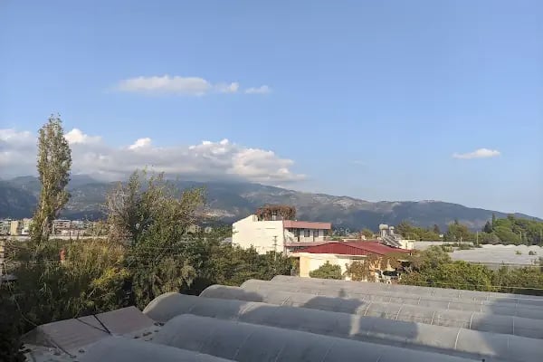 Kıyak Otel - Resim 14