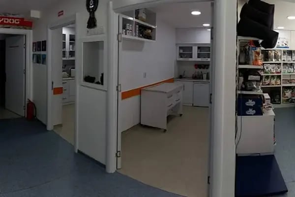 Ortivet Veteriner Polikliniği - Resim 10