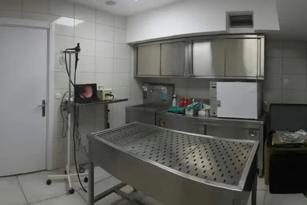 Ortivet Veteriner Polikliniği - Resim 12