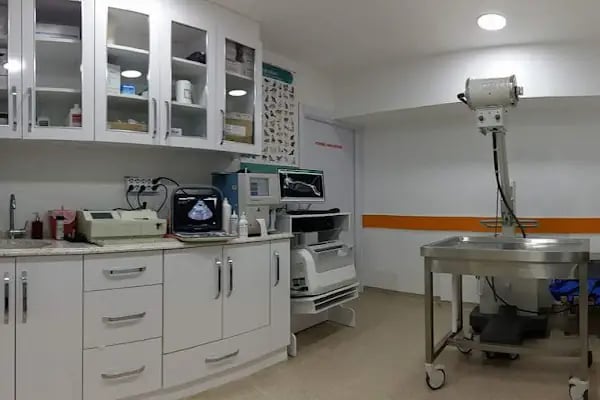 Ortivet Veteriner Polikliniği - Resim 2