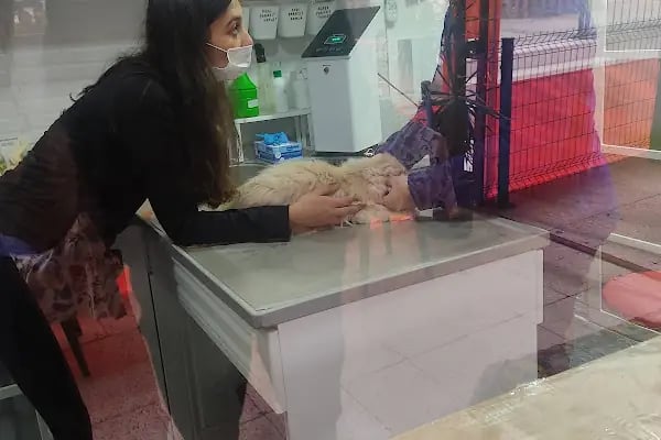 Ortivet Veteriner Polikliniği - Resim 19