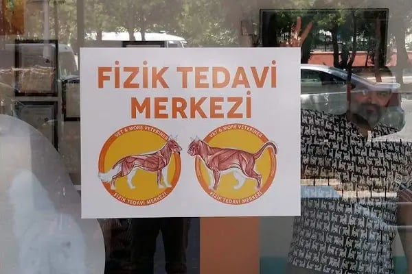 Ortivet Veteriner Polikliniği - Resim 13