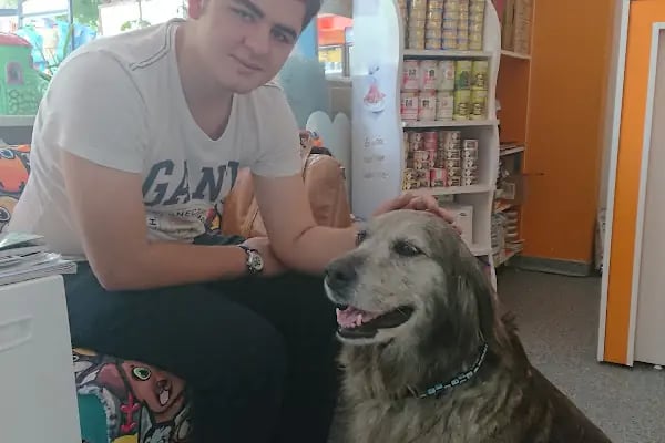 Ortivet Veteriner Polikliniği - Resim 17