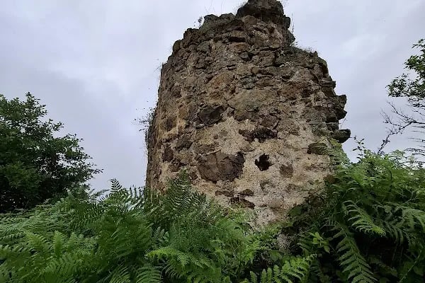 Armutçuk Mezrası - Resim 8