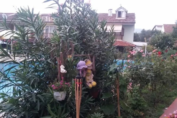 Örnek Tatil Sitesi - Resim 2