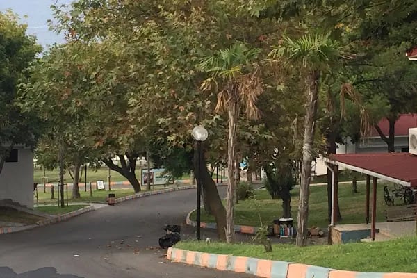 Başakşehir Belediyesi Enez Gençlik Kampı - Resim 11