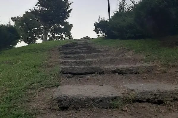 Başakşehir Belediyesi Enez Gençlik Kampı - Resim 18