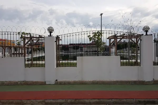 Aris Olimpik Yüzme Havuzu ve Sosyal Tesisleri - Yüzme Kursu - Resim 11