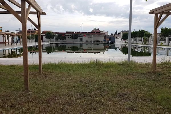 Aris Olimpik Yüzme Havuzu ve Sosyal Tesisleri - Yüzme Kursu - Resim 8
