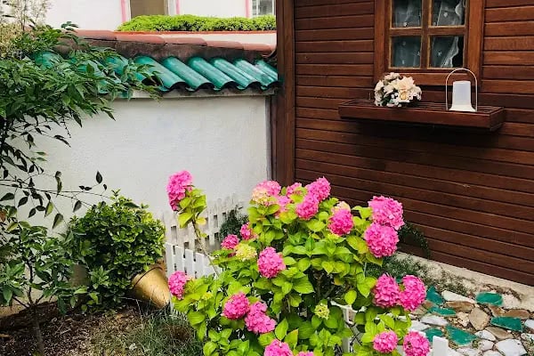 MSY KÜÇÜK EV APART (Heybeliada) - Resim 1