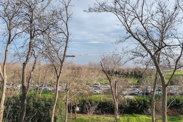 İBB Avcılar Sosyal Tesisleri - Resim 7
