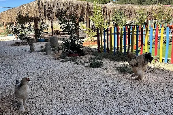 Trysa Restaurant Camping - Resim 13