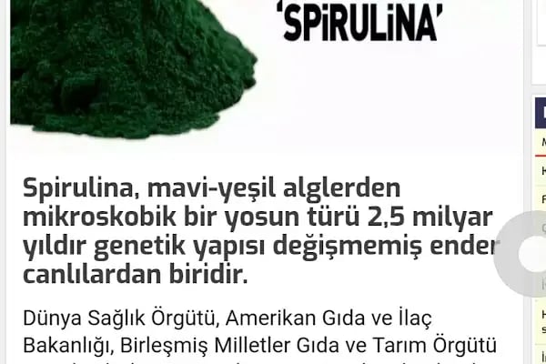 Ogansia - Resim 15