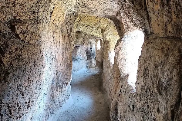 Pamukkale Tematik Kent Ormanı Parkı - Resim 10