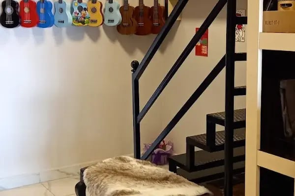 Pianissimo Music Shop - Resim 6