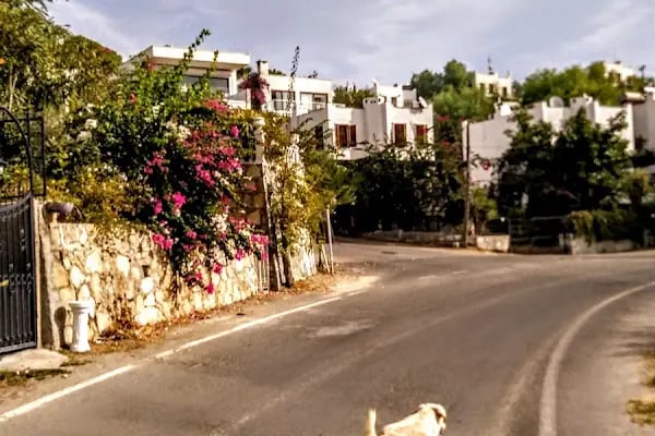 Gümbet Sitesi - Resim 15