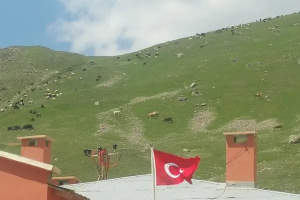 Mirhasan İlkokulu - Resim 14