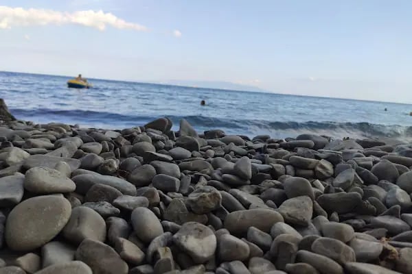 Uçmakdere Çınar - Resim 12