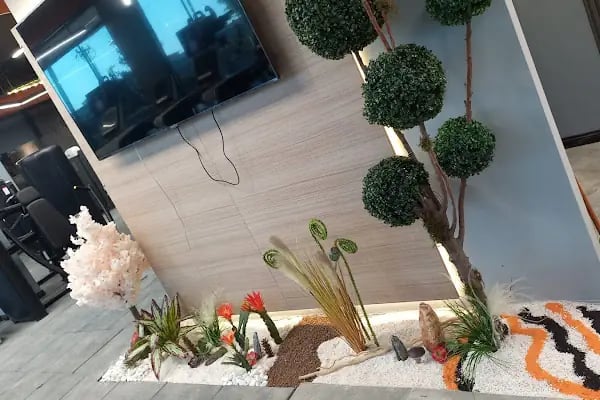 Ceyhan Frida Flowers (çiçekçi) - Resim 10